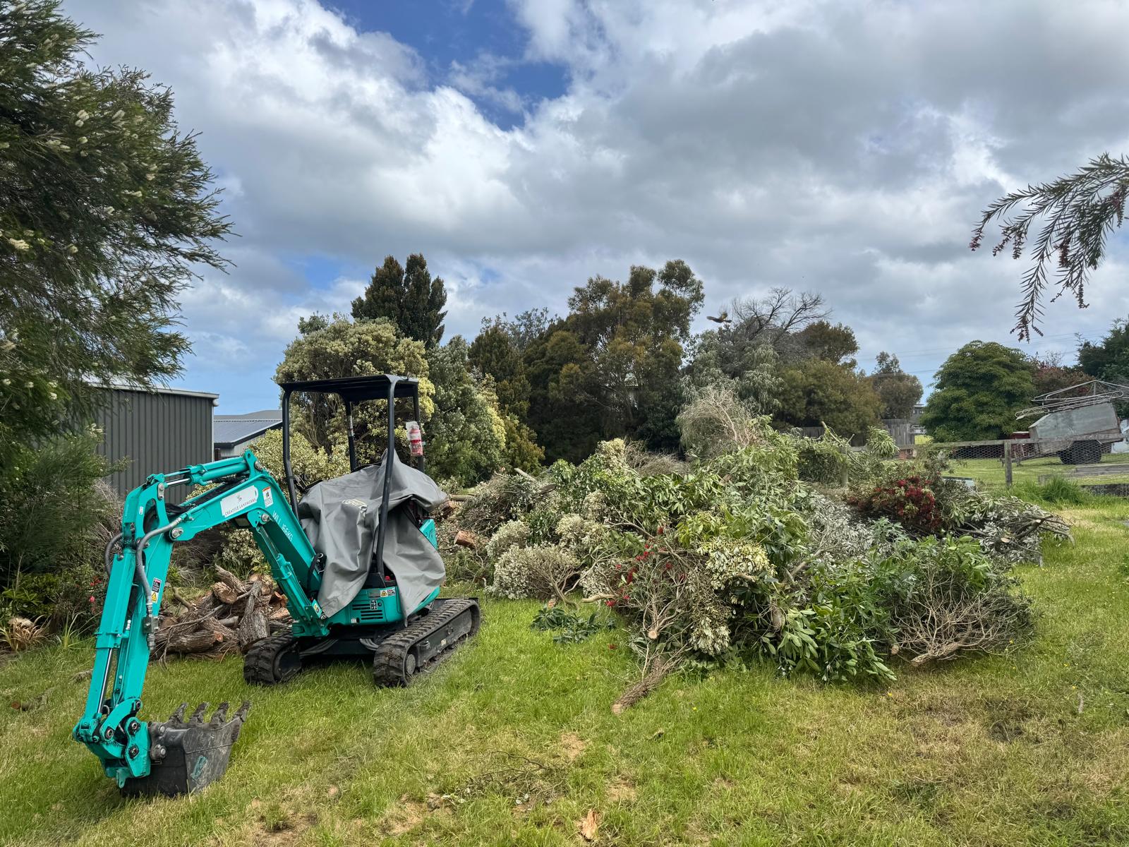 Tree Lopping Service