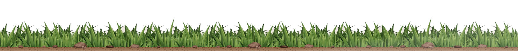 Small Garden Landscaping