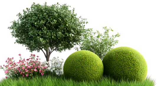 Landscaping Plants With Greenery